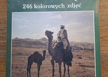 Ziemia Święta- Luigi Lombardi