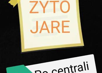 Żyto jare - pierwszy rok po centrali - zyto jare