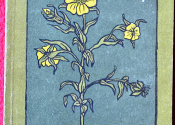 Irena Gumowska Ziółka i my