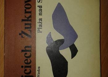 Plaża nad Styksem - Wojciech Żukrowski