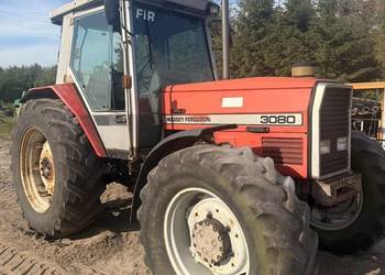 Massey Ferguson 3080 sprowadzony