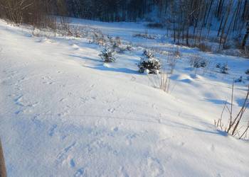 Kotlina Kłodzka. Boboszów działka 2,08ha w górach przy granicy z Czechami.