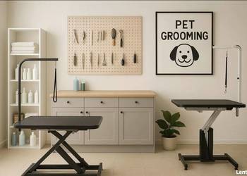 Odstąpię działający salon groomerski w Kielcach