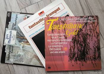 Trzy albumy winylowe z nastrojową oraz taneczną muzyką instrumentalną