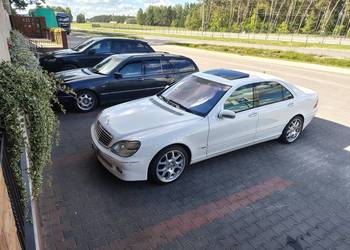 Mercedes AMG 55