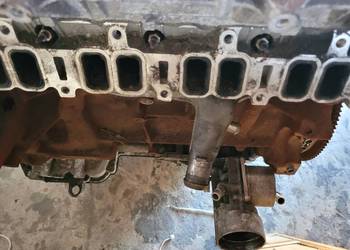 Silnik Motor Ford Ranger 3.2 200KM Na części Bratford Radom