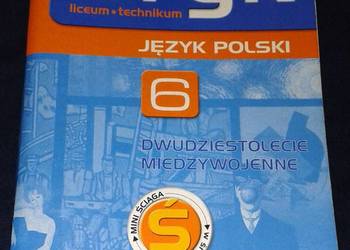 Mega Bryk. Język polski 6. Dwudziestolecie międzywojenne-Anna Żak