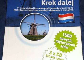 Niderlandzki. Krok za krokiem - Charlotte Pothuizen