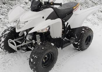 Aeon Cobra SWAP Kymco Tgb Access Sym Adly Goes Kayo Quady ATV Barossa SMC