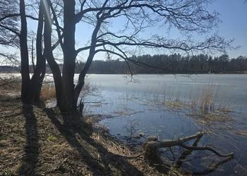 Budowlana. Jezioro Dąbrowa