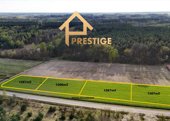 Działki budowlane przy lesie-Nowy Świat, gmina Tuliszków