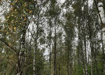 działka rolno budowlana