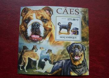Mozambik 2011 MNH Fauna Zwierzęta Psy
