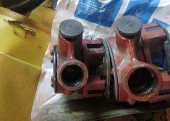 Solidna gwintownica rosyjska