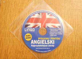 LINGO - Angielski - najprzydatniejsze zwroty - 2016