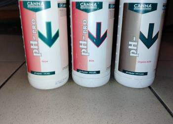 Nawozy Canna pH-Grow Bloom Organo Acid + nawóz do roślin zielonych POLECAM