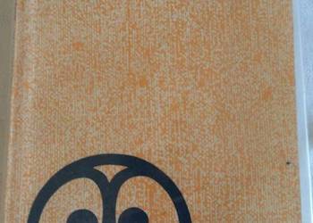 Chłopcy ze Starówki-Halina Rudnicka