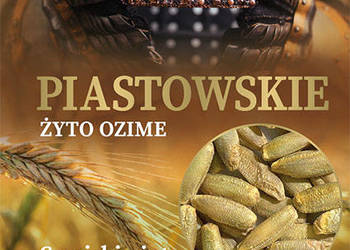 Kwalifikowane nasiona siewne żyto ozime Piastowskie C/1