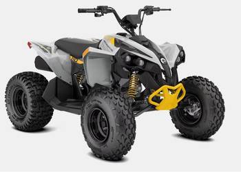 QUAD Can-Am Renegade 110 EFI Catalyst grey & neon yellow 3CPC