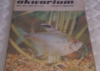 Akwarium 1984 Nr 6 (84) (Książka)