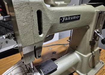 Rymarka praworamienna