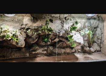 Terrarium pustynne dla żółwia greckiego agamy brodatej