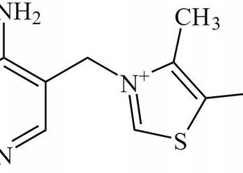 Witamina B1 ( Vitamine B1 ) Tiamina 100g