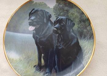 Talerz kolekcjonerski Nigel Hemming edycja limitowana Talerz kolekcjonerski Nigel Hemming edycja limitowana