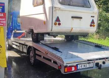 Sprzedam niewiadów n126