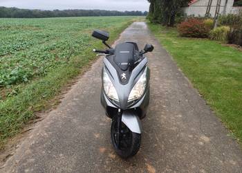 Peugeot satelis 125cm