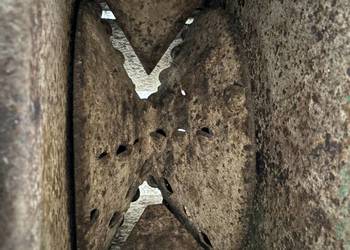 Rozdrabniacz okopowych Bartosz 10