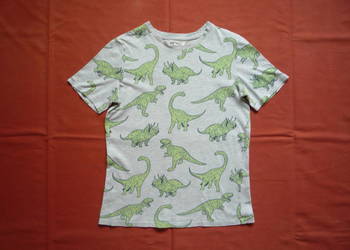 H&M 134/140 Szara koszulka zielone dinozaury