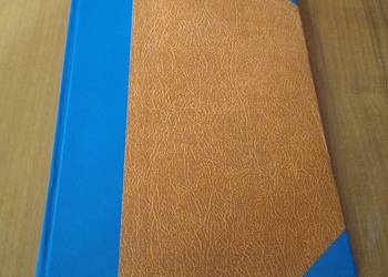 Rola magnaterii i szlachty w pierwszych latach wojny szwedzkiej Czapliński