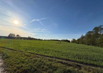 Gospodarstwo rolne z siedliskiem