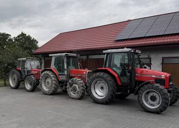 MF 3070 4x4 Ferguson 365 Świeżo sprowadzony