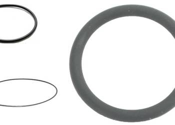 Uszczelki Oringi 5R55W 5R55S 5R55N Explorer