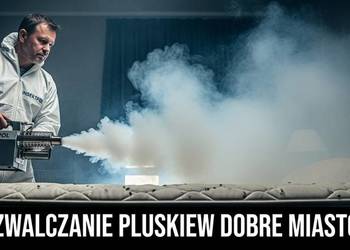 Zwalczanie Pluskiew Dobre Miasto - Odpluskwianie, Dezynsekcja