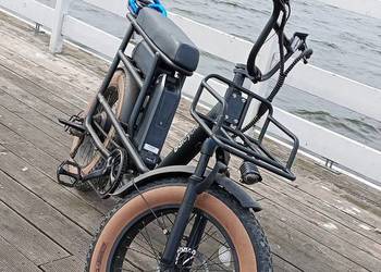 Rower Elektryczny Baicycle A15 Dwuosobowy Dual-Battery