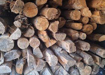 Stemple budowlane drewniane