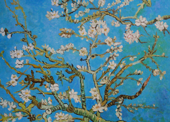 Uroczy obraz na prezent - Kwitnący migdałowiec van Gogh