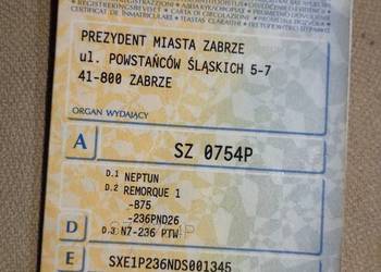 PRZYEPKA NEPTUN LEEKA