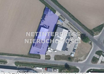 Lokal 437.37m2 Strzelin