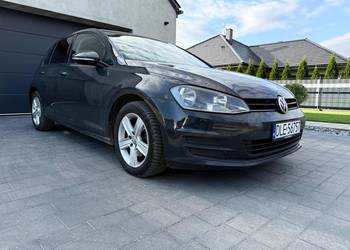 VW Golf VII - 7 1.6TDi 105KM Parktronik Klimatronik Hak 5D Nowy Rozrzad