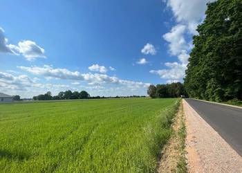 Działka w Zbuczynie, ul. Północna