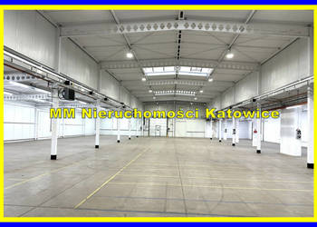 Hala do wynajęcia Katowice suwnica biura socjal.