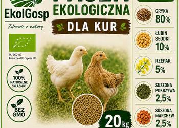 Pasza dla kur 20kg ekologiczna