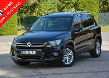 Volkswagen Tiguan Parkassist Navi Klimatronic Chromy Relingi El.Hak Alu 17…