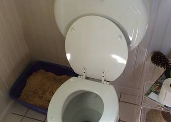 Naprawa cieknącej toalety, spłuczki, usługi, Wrocław i okolice