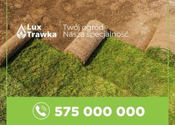 Trawa w rolce | Trawa z rolki | Dostawa na terenie całej małopolski