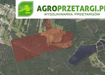 Dzierżawa 10,00 ha gruntu rolnego